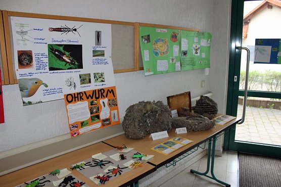 Ausstellung Tiere am und im Garten er&ouml;ffnet (Foto: Karl-Heinz Herrmann)