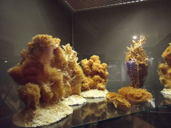 Auf Tour durch Bad Frankenhausen (Foto: Thomas Leipold)