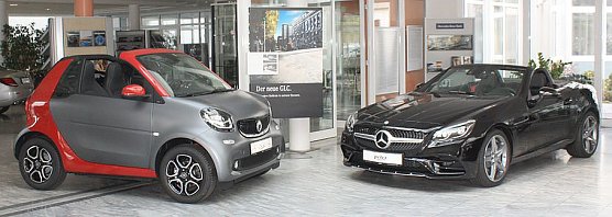 Peter-Flotte vor dem Schwan (Foto: Heidrun Fischer)