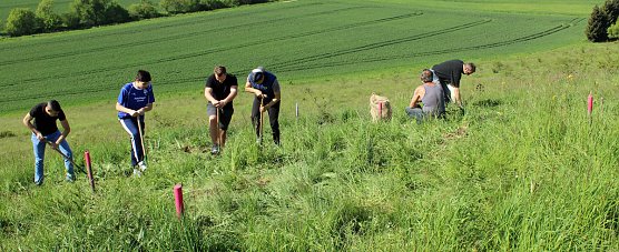 Studien zur Erhaltung der Natur (Foto: Karl-Heinz Herrmann)