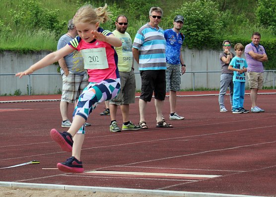 Ergebnisse der 6. Mini-WM (Foto: Karl-Heinz Herrmann)