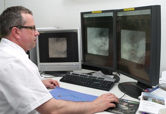 Dr. Hentrich (Foto: SHK)