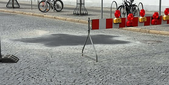 Schilfernte und Umleitungen (Foto: Karl-Heinz Herrmann)