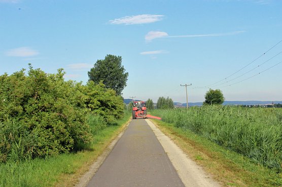 Da wächst etwas zu! (Foto: Karl-Heinz Herrmann) Da wächst etwas zu! (Foto: Karl-Heinz Herrmann)
