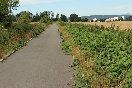 Da wächst etwas zu! (Foto: Karl-Heinz Herrmann) Da wächst etwas zu! (Foto: Karl-Heinz Herrmann)