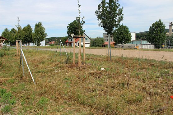 Da wächst etwas zu! (Foto: Karl-Heinz Herrmann) Da wächst etwas zu! (Foto: Karl-Heinz Herrmann)