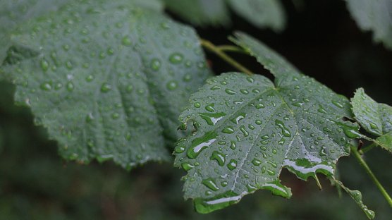 Wetterbild (Foto: Angelo Glashagel) Wetterbild (Foto: Angelo Glashagel)