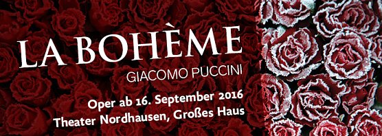 Banner (Foto: Theater Nordhausen)