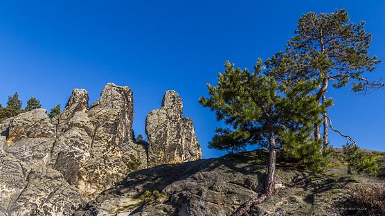 Den Harz mit dem Fotoapparat erwandern  (Foto: Andreas Levi)