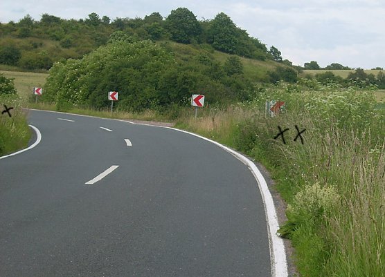 Graswuchs an Warnbaken (Foto: Karl-Heinz Herrmann)