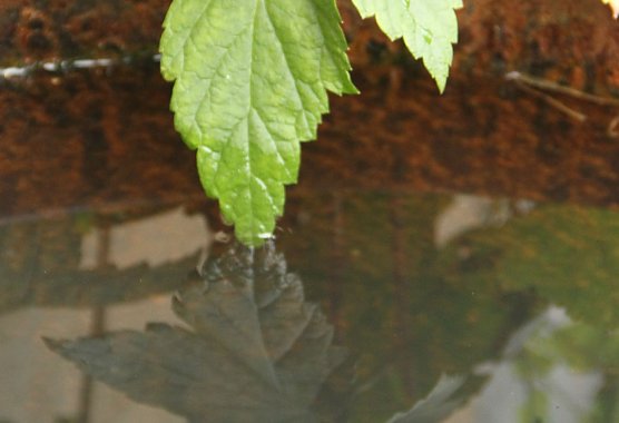 Wetterbild (Foto: Angelo Glashagel) Wetterbild (Foto: Angelo Glashagel)