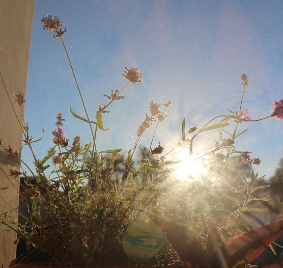 Wetterbild (Foto: Angelo Glashagel)