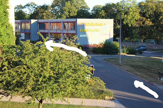 Appell an Kraftfahrer? (Foto: Karl-Heinz Herrmann)