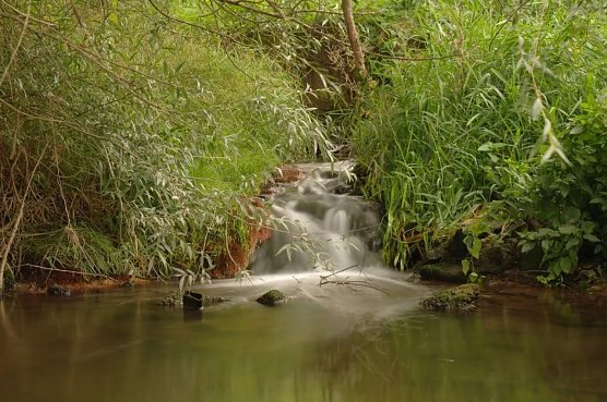 Wetter-Bild (Foto: Gernot Thelemann)