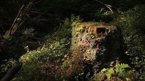 Wetterbild (Foto: Angelo Glashagel)