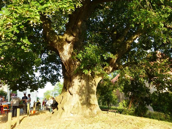 Lindenfest mit Filmvorf&uuml;hrung (Foto: J&uuml;rgen Kieper)