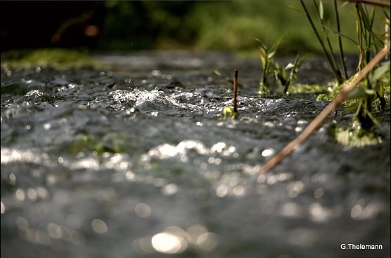 Abk&uuml;hlung in Sicht (Foto: Gernot Thelemann)