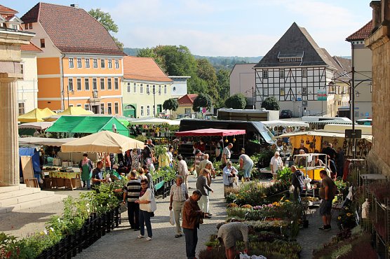 Pflanzenmarkt mit Musik (Foto: Karl-Heinz Herrmann) Pflanzenmarkt mit Musik (Foto: Karl-Heinz Herrmann)