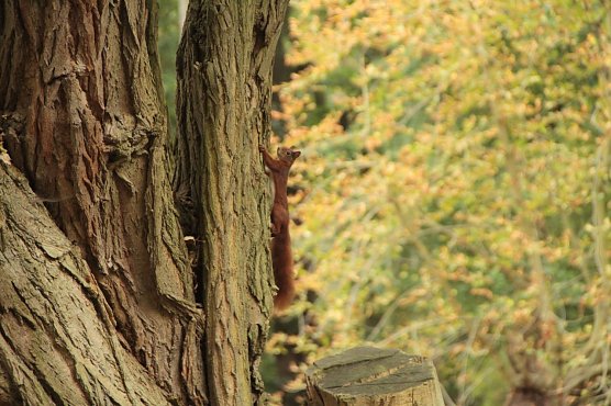 Wetterbild (Foto: Angelo Glashagel) Wetterbild (Foto: Angelo Glashagel)