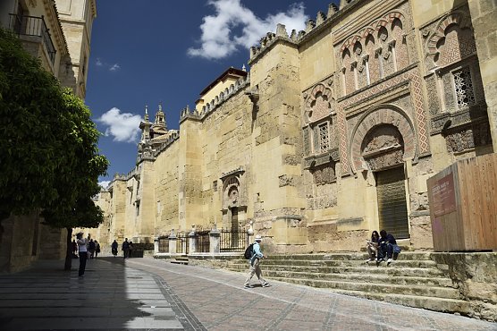 Ferne Welten (Foto: Privat) Ferne Welten (Foto: Privat)