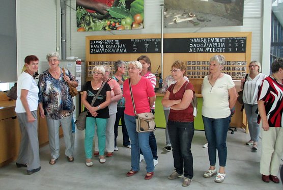 12. Bezirksfrauenforum des VdK in Leinefelde (Foto: Ronald R&ouml;mer)