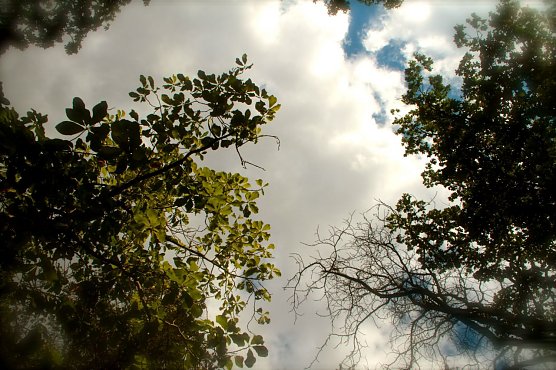 Wetterbild (Foto: Angelo Glashagel) Wetterbild (Foto: Angelo Glashagel)