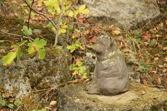 Wetterbild (Foto: Angelo Glashagel)