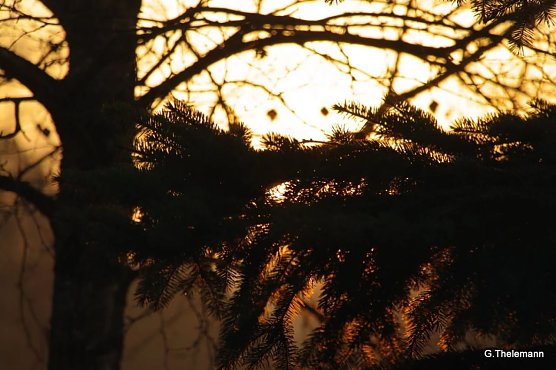 Wetter-Bild (Foto: Gernot Thelemann)