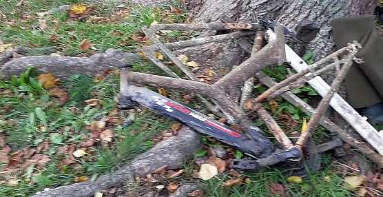 Müllabladeplatz Schlosspark? (Foto: Karl-Heinz Herrmann) Müllabladeplatz Schlosspark? (Foto: Karl-Heinz Herrmann)