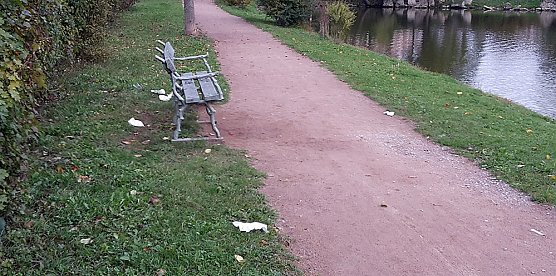 Müllabladeplatz Schlosspark? (Foto: Karl-Heinz Herrmann) Müllabladeplatz Schlosspark? (Foto: Karl-Heinz Herrmann)