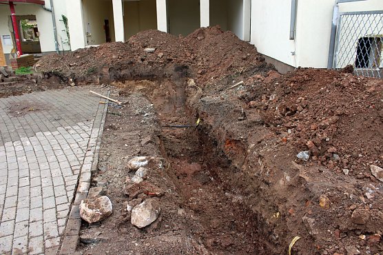 Neues vom Franzberg (Foto: Karl-Heinz Herrmann)