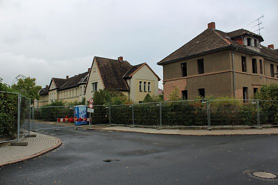 Neues vom Franzberg (Foto: Karl-Heinz Herrmann)