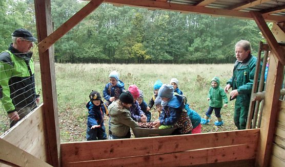 Fleißig Kastanien gesammelt (Foto: Kindervilla Bad Frankenhausen) Fleißig Kastanien gesammelt (Foto: Kindervilla Bad Frankenhausen)