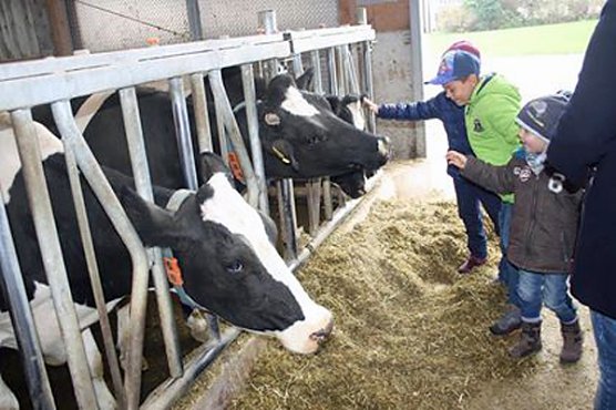 Kita Kids vom Kindernest auf "kuhler" Entdeckertour! (Foto: Privat) Kita Kids vom Kindernest auf "kuhler" Entdeckertour! (Foto: Privat)