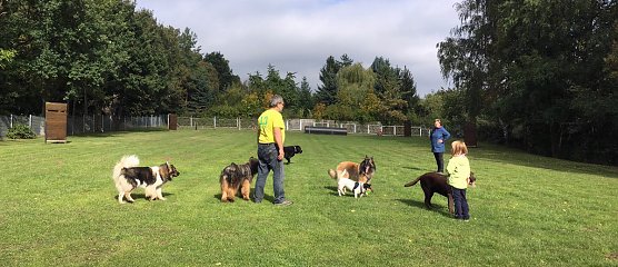 Herbstwanderung des Sondersh&auml;user Hundevereins (Foto: Privat)