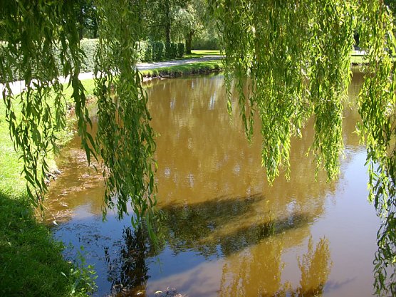 Kleiner Parkteich (Foto: Karl-Heinz Herrmann)