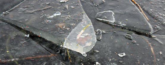 Massenansturm zum Weihnachtstauchen (Foto: Karl-Heinz Herrmann)