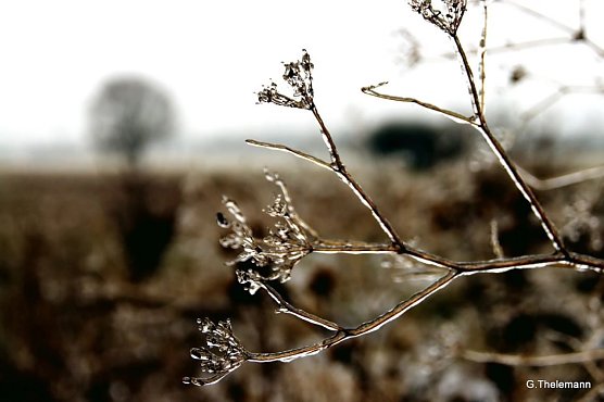 Wetter-Bild (Foto: Gernot Thelemann)