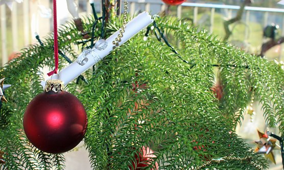 Der ökologischen Weihnachtsbaum (Foto: Karl-Heinz Herrmann) Der ökologischen Weihnachtsbaum (Foto: Karl-Heinz Herrmann)