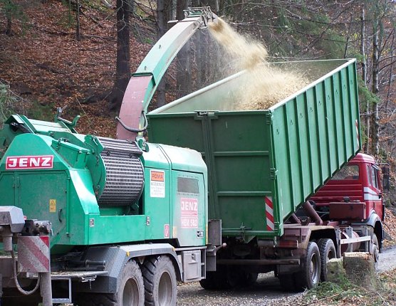 Hacker (Foto: Th&uuml;ringenforst)