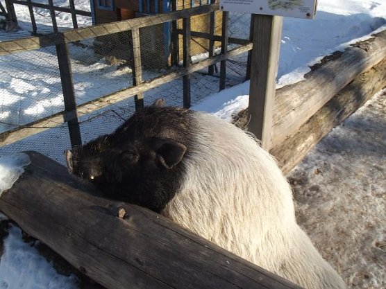 Winterspa&szlig; auf dem Possen (Foto: Thomas Leipold)