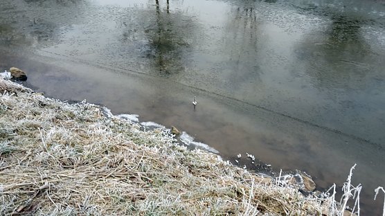 Friert die Wipper zu? (Foto: Karl-Heinz Herrmann) Friert die Wipper zu? (Foto: Karl-Heinz Herrmann)