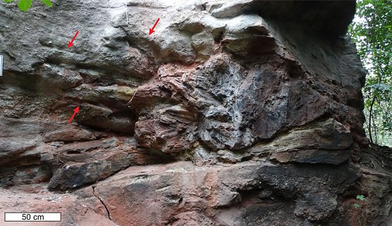 Von rei&szlig;enden Fluten und Baumriesen (Foto: Steffen Tr&uuml;mper)