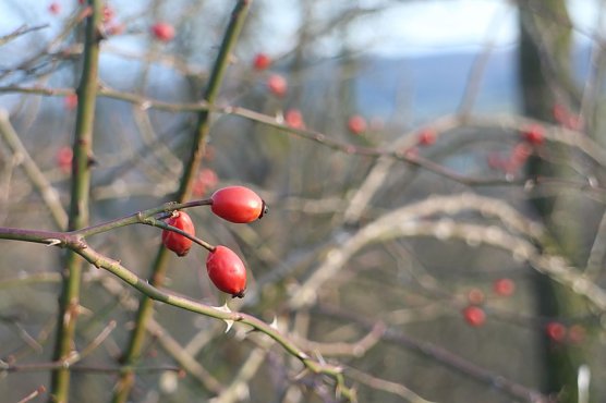 Wetterbild (Foto: Angelo Glashagel)