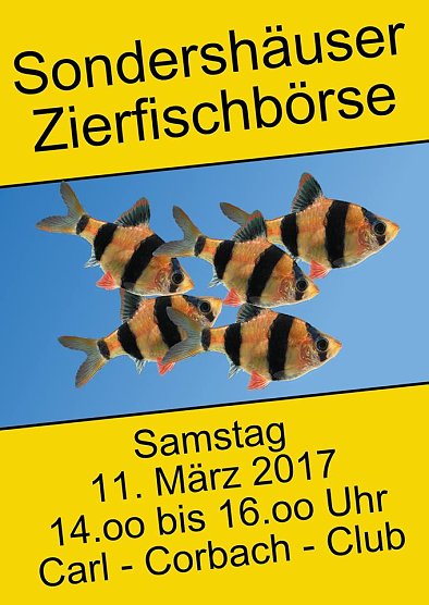 Tipps (Foto: Privat)