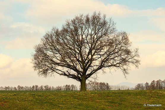Wetterbild (Foto: Gernot Thelemann) Wetterbild (Foto: Gernot Thelemann)