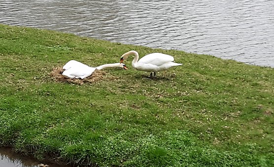Eigenheim im Bau (Foto: Privat) Eigenheim im Bau (Foto: Privat)