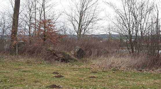 Walk of music? (Foto: P.K.)