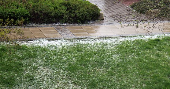 Was f&uuml;r eine verr&uuml;ckte Welt (Foto: Karl-Heinz Herrmann)