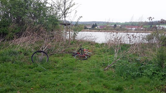 Was f&uuml;r eine Leistung (Foto: Karl-Heinz Herrmann)